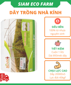 Dây nhà kính